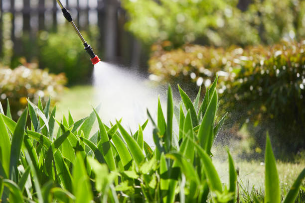 24/7 Emergency Wasp Removal experts in Lake Caroline, VA