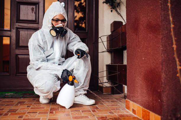 Reliable Wasp Removal contractor in Lake Caroline, VA by Show Me Pest Control