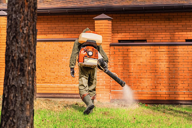 Top rated local Wasp Removal specialists in Lake Caroline, VA